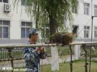 义乌市郢峪电子商务商行