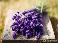 义乌市郢峪电子商务商行