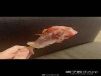 义乌市郢峪电子商务商行